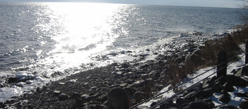 Header Image