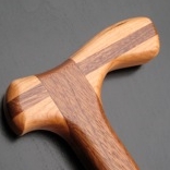 Eco Cane